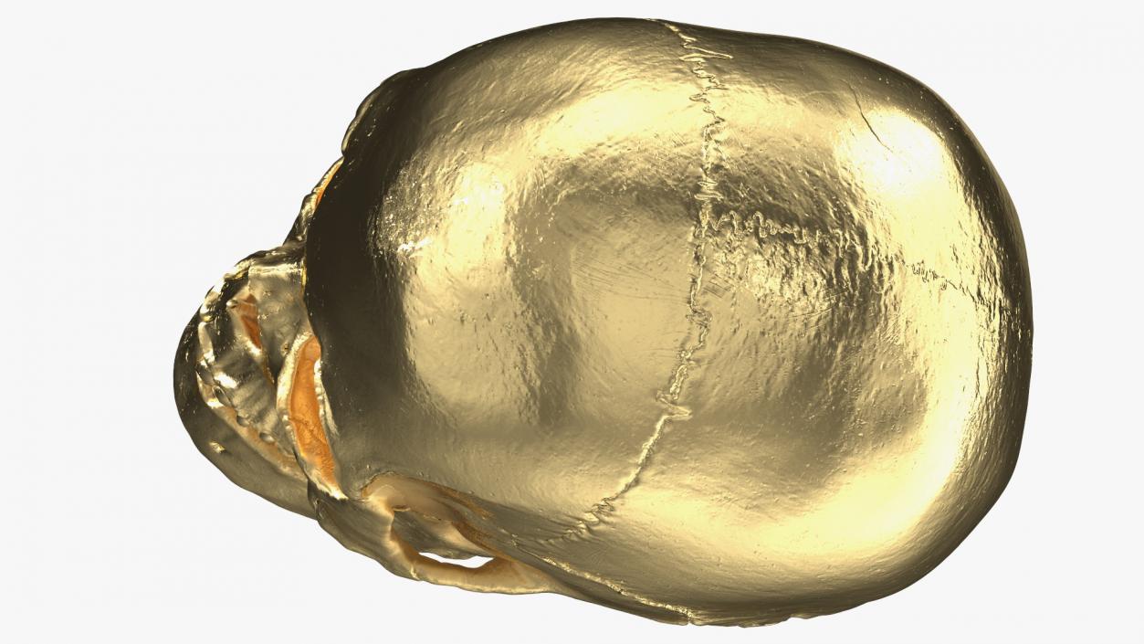 Female Human Skull Gold Metal 3D model