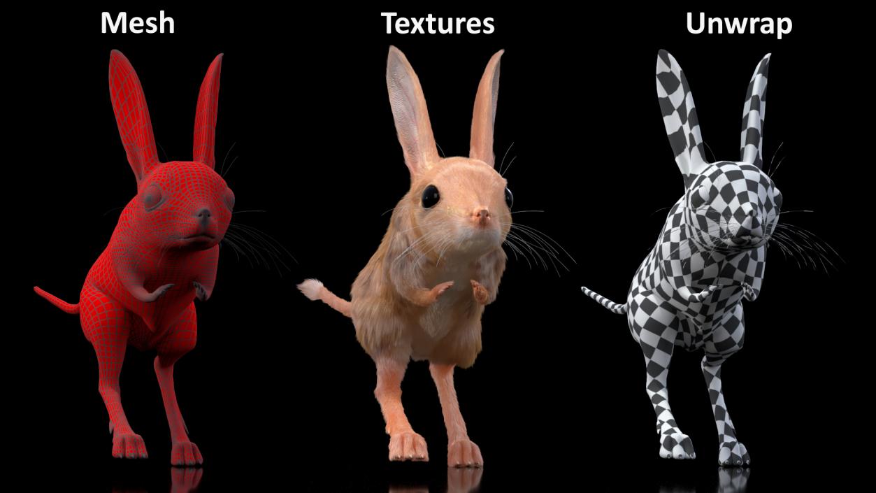 Desert Animals Fur Collection 3D model