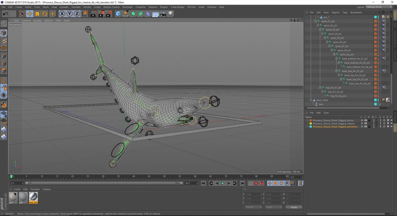 Prionace Glauca Shark Rigged for Cinema 4D 3D