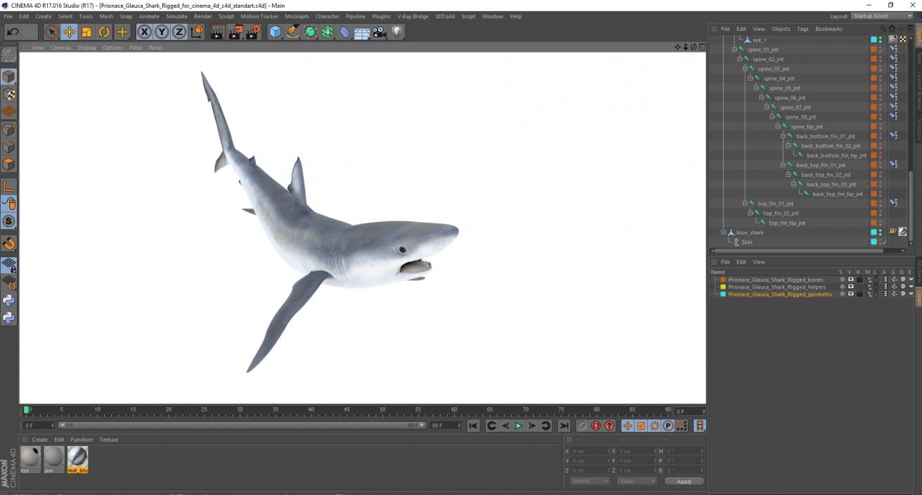 Prionace Glauca Shark Rigged for Cinema 4D 3D