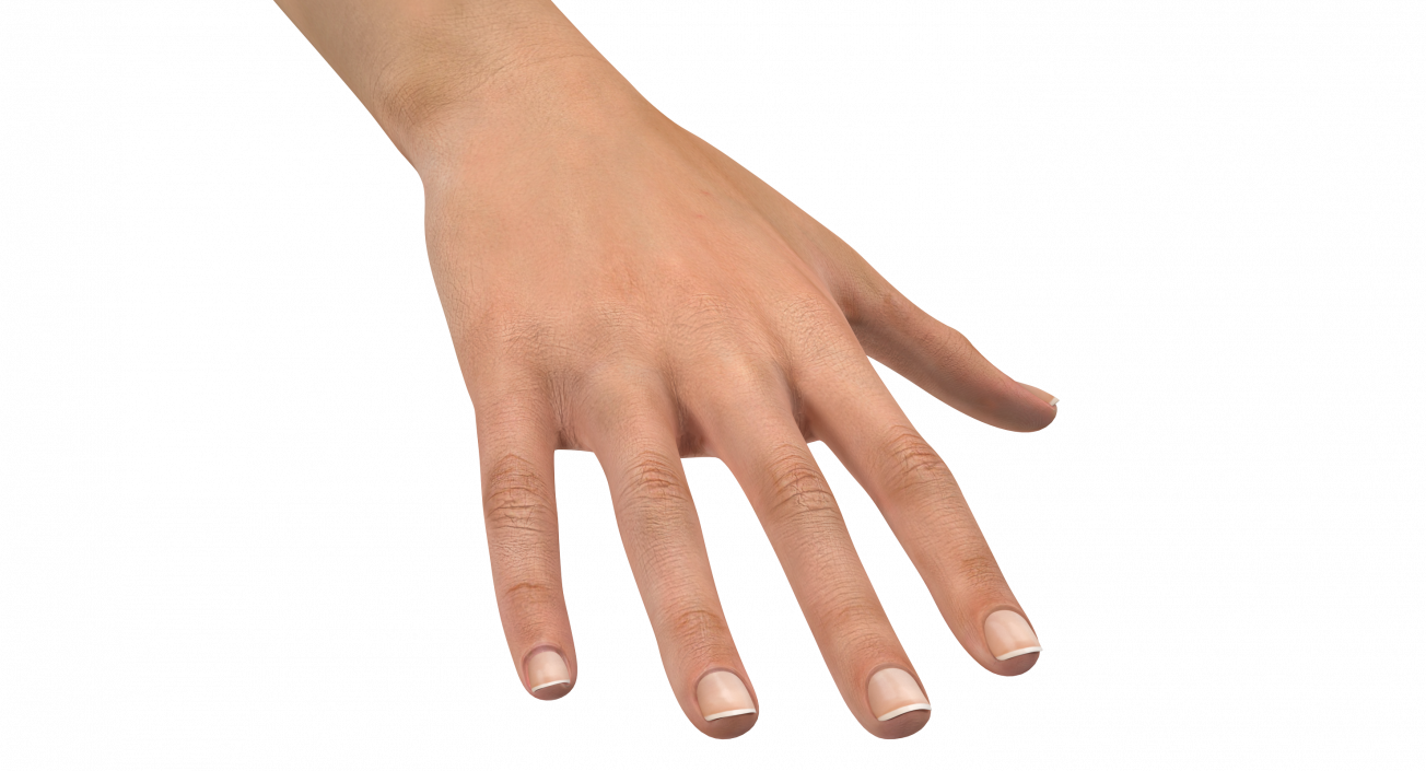 Australoid Female Hand 3D