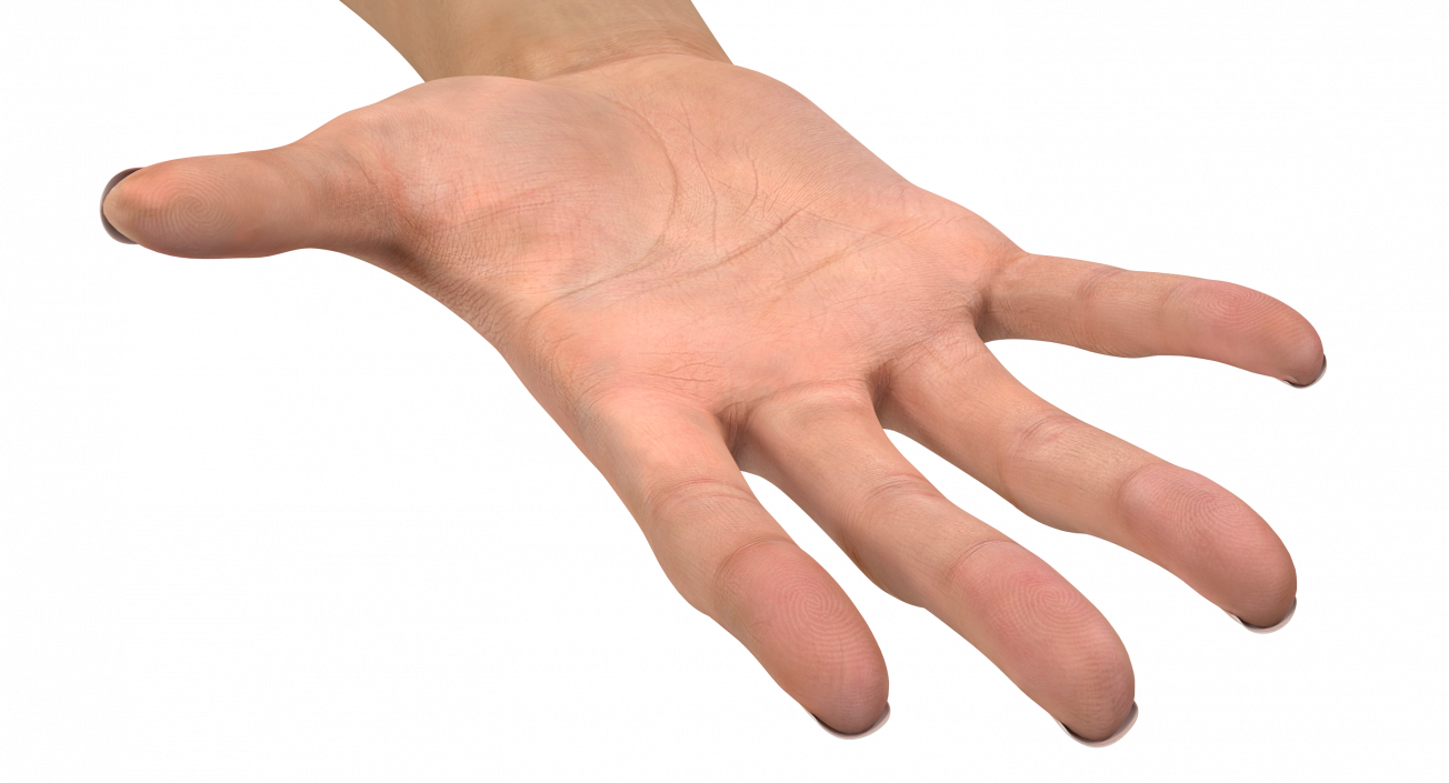 Australoid Female Hand 3D