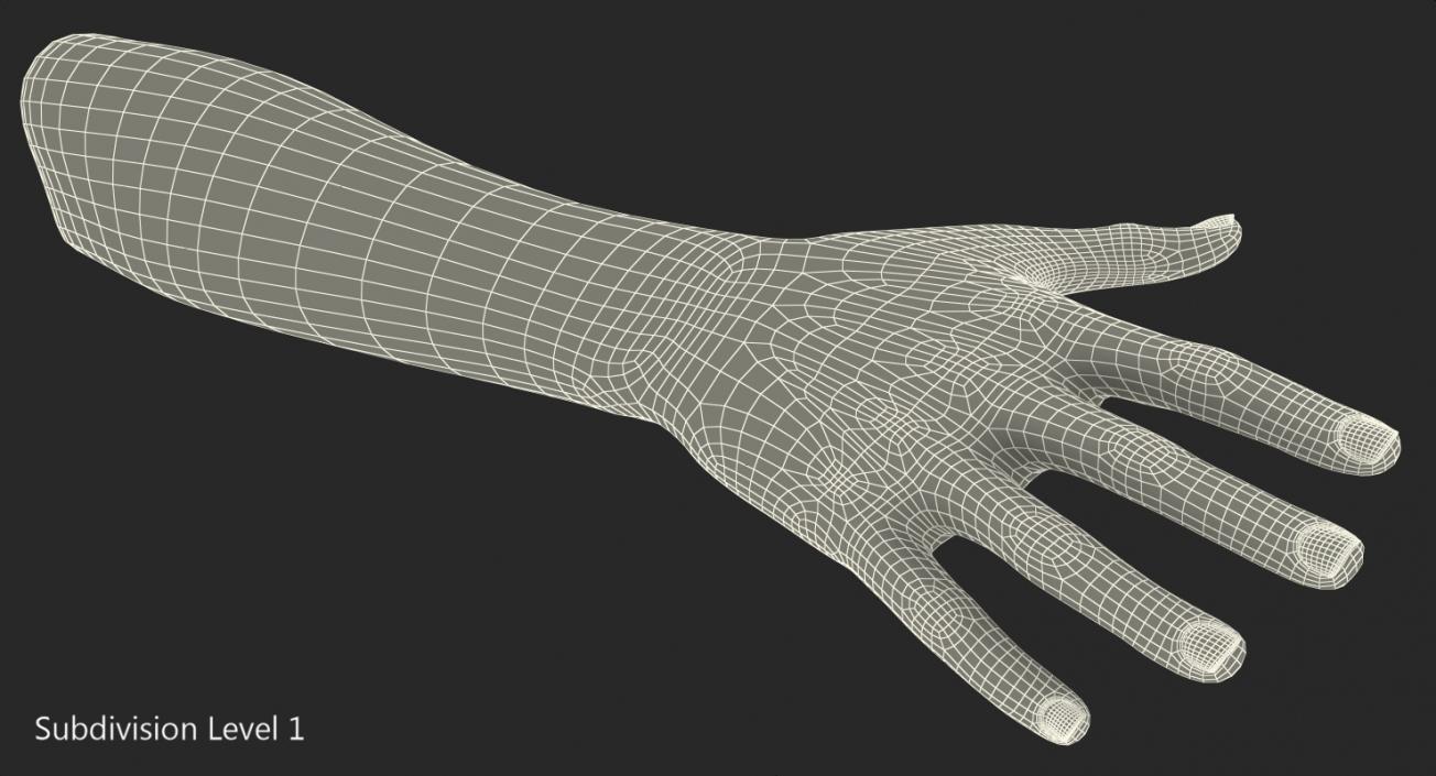 Australoid Female Hand 3D