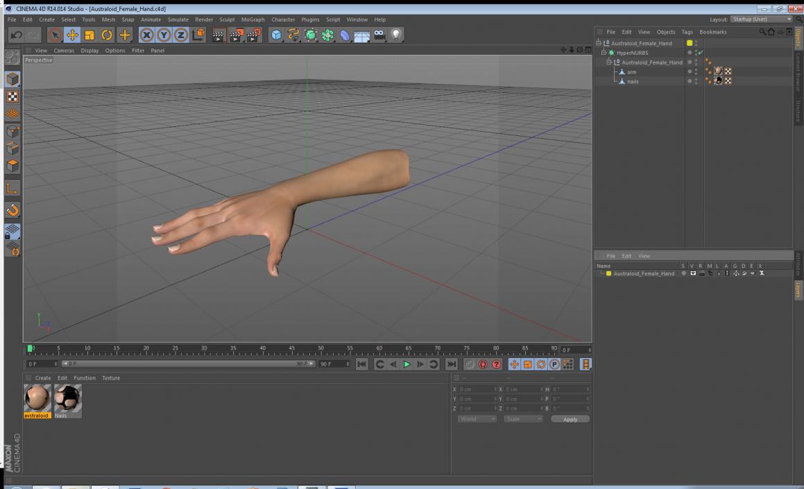 Australoid Female Hand 3D