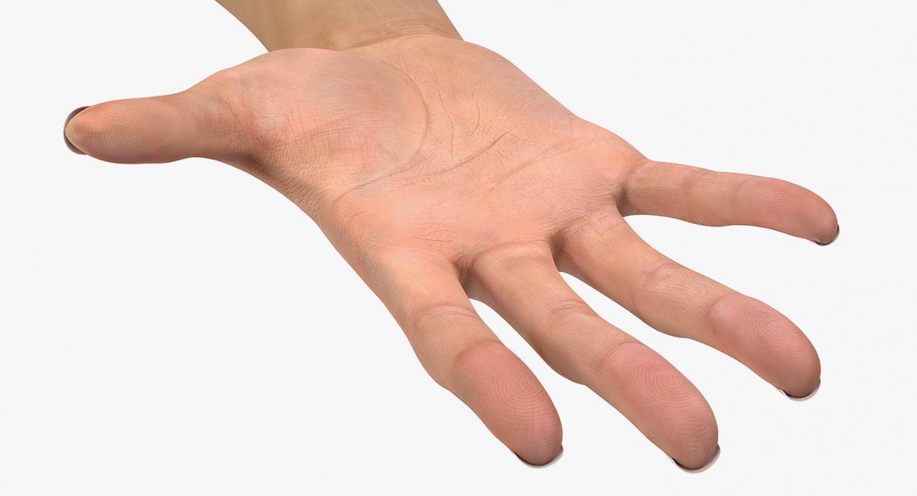 Australoid Female Hand 3D