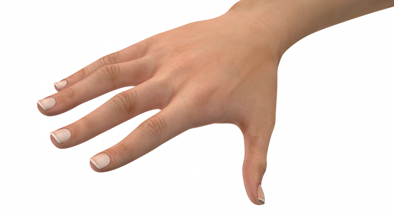 Australoid Female Hand 3D