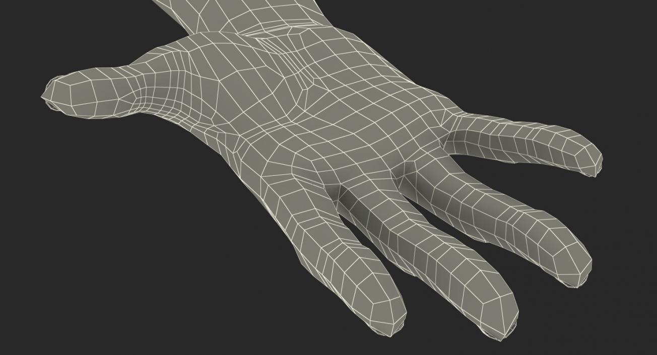 Australoid Female Hand 3D