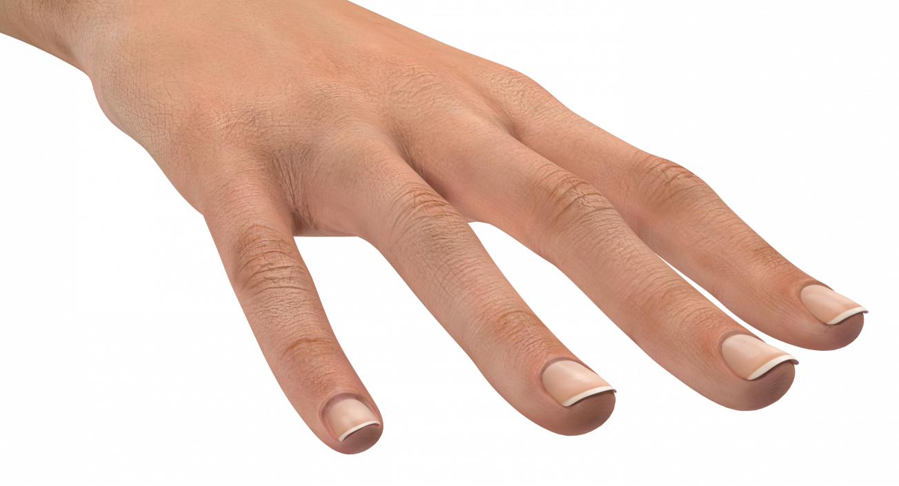 Australoid Female Hand 3D