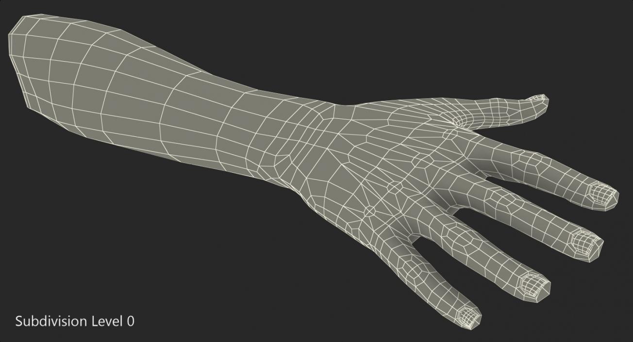 Australoid Female Hand 3D