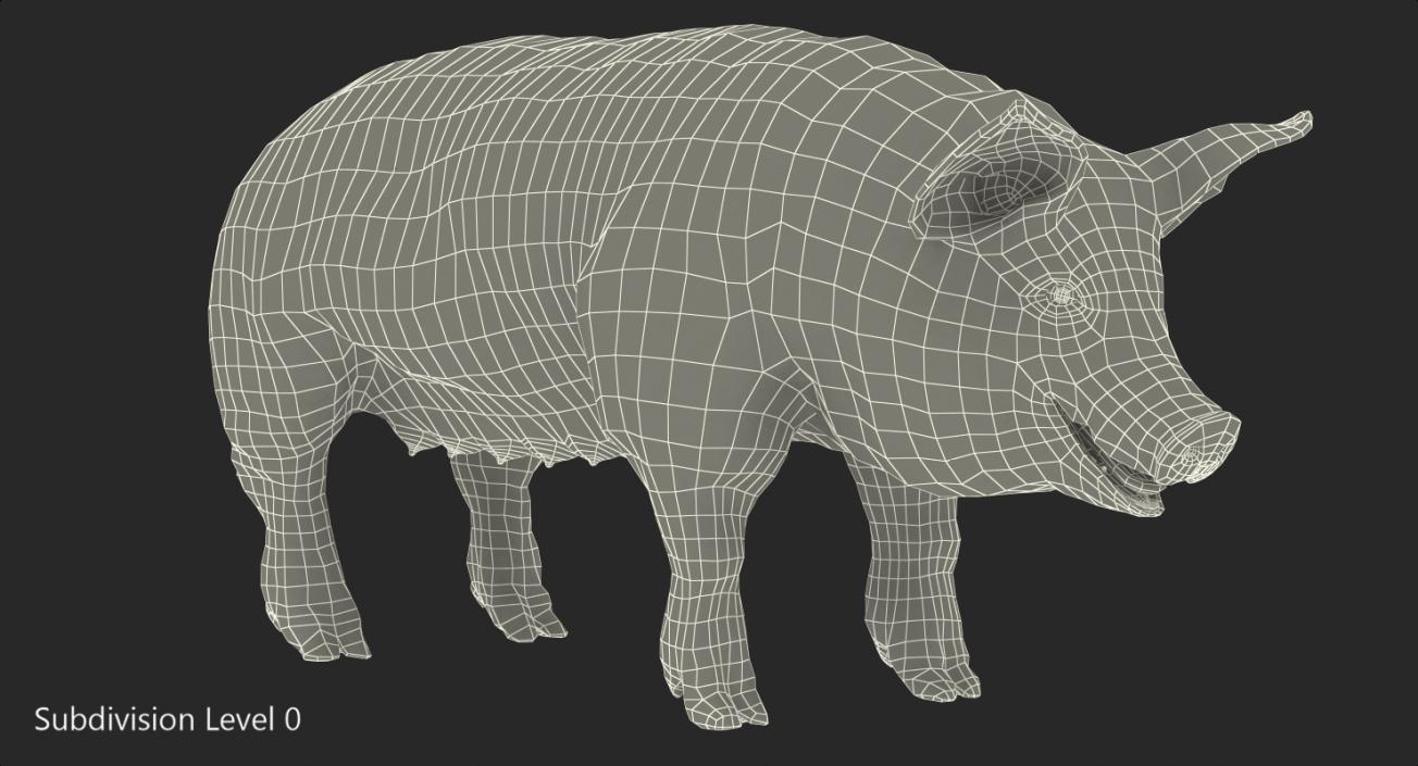 3D Hampshire Pig Sow with Fur