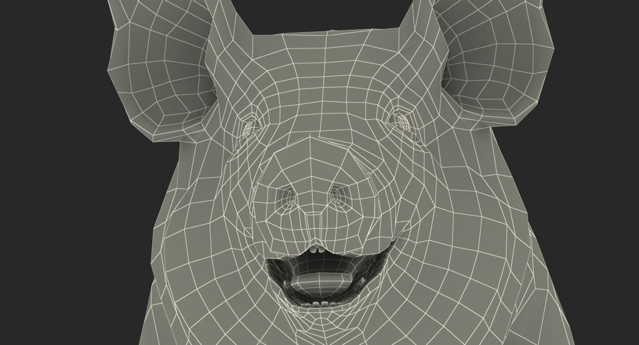 3D Hampshire Pig Sow with Fur