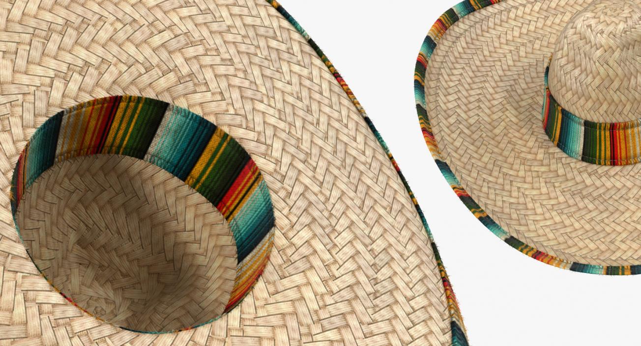 3D Straw Sombrero with Fur model