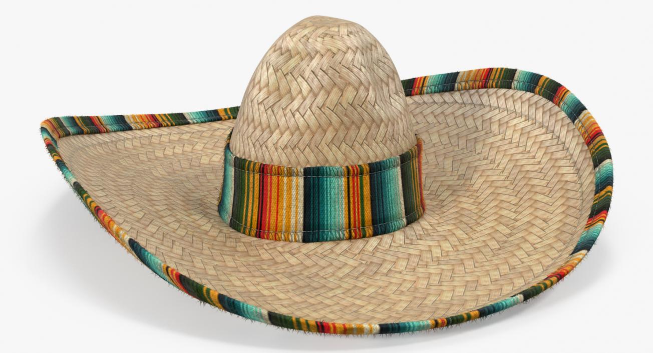 3D Straw Sombrero with Fur model