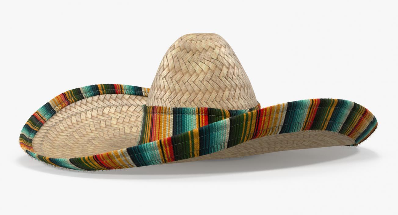 3D Straw Sombrero with Fur model