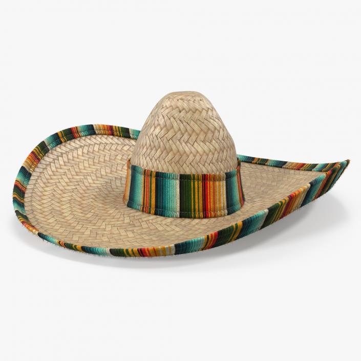 3D Straw Sombrero with Fur model