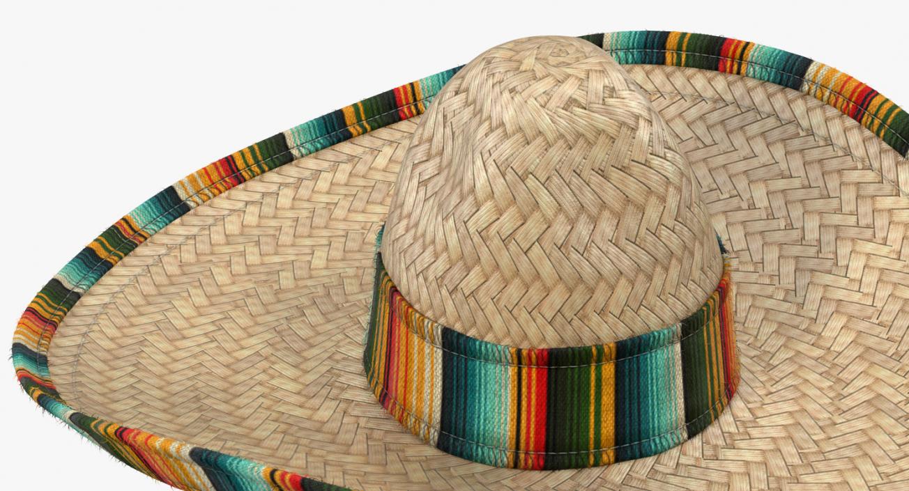 3D Straw Sombrero with Fur model