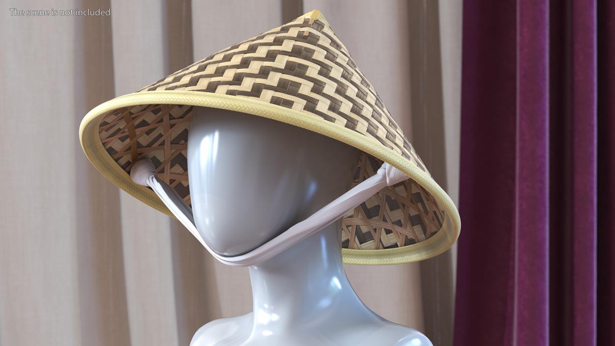 3D Traditional Asian Rice Hat