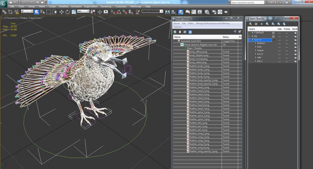 3D model House Sparrow Rigged