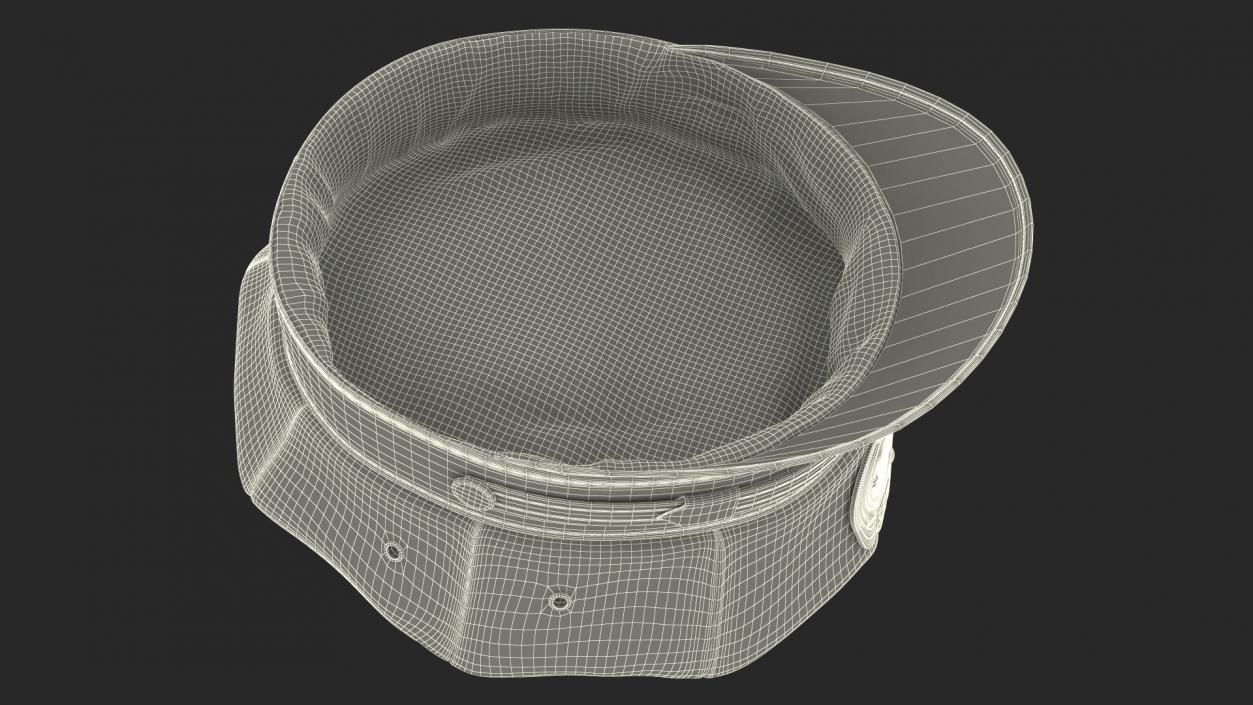 Highly Detailed Police Officer Cap 3D model