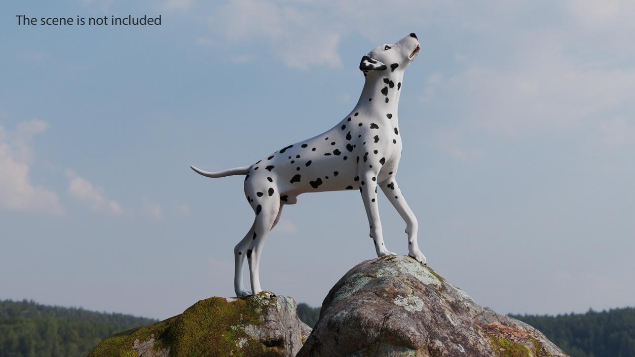 3D Dalmatian Dog Rigged for Maya 2