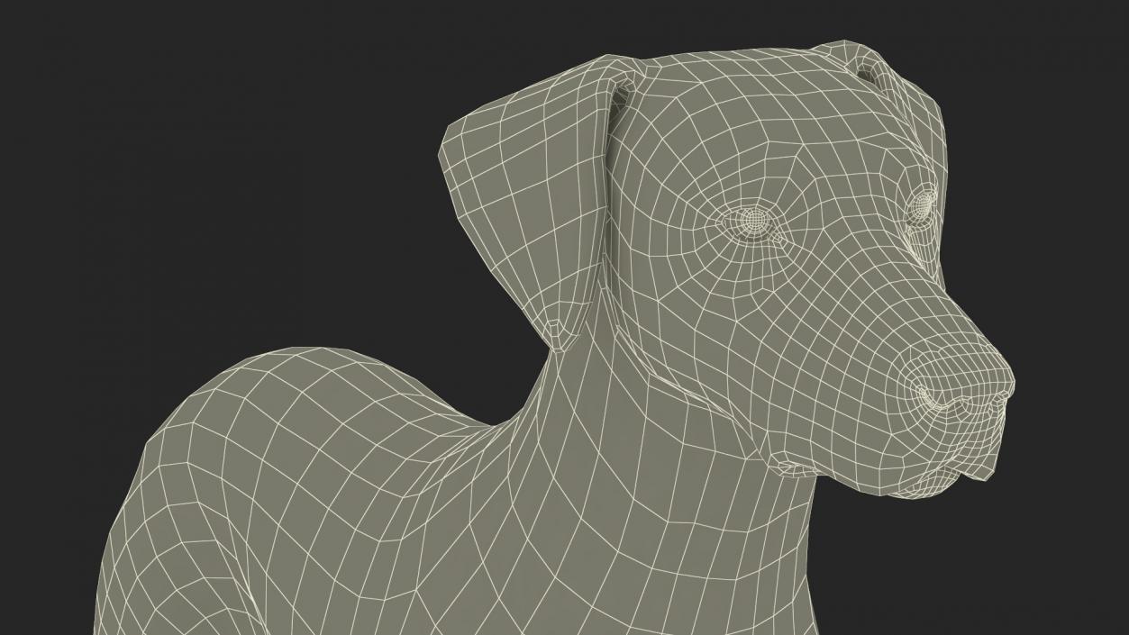 3D Dalmatian Dog Rigged for Maya 2