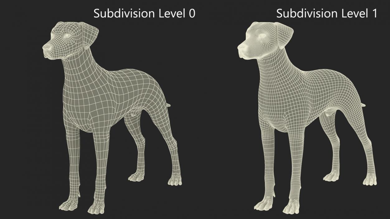 3D Dalmatian Dog Rigged for Maya 2