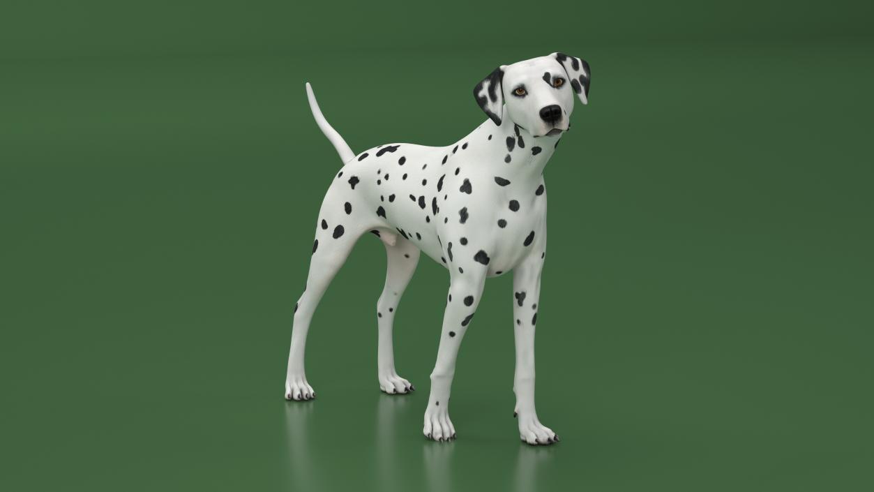 3D Dalmatian Dog Rigged for Maya 2