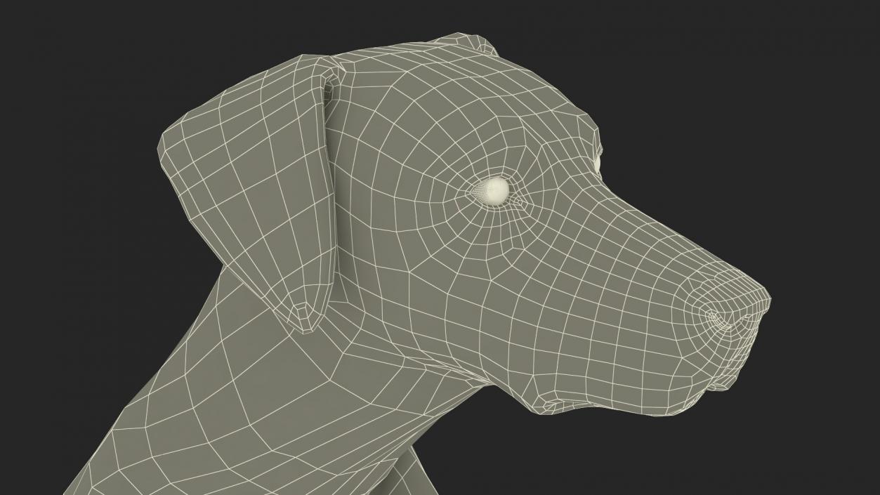 3D Dalmatian Dog Rigged for Maya 2