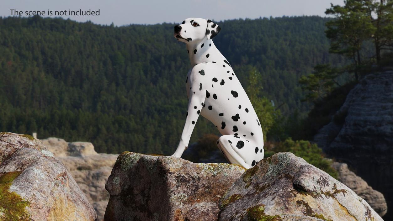 3D Dalmatian Dog Rigged for Maya 2