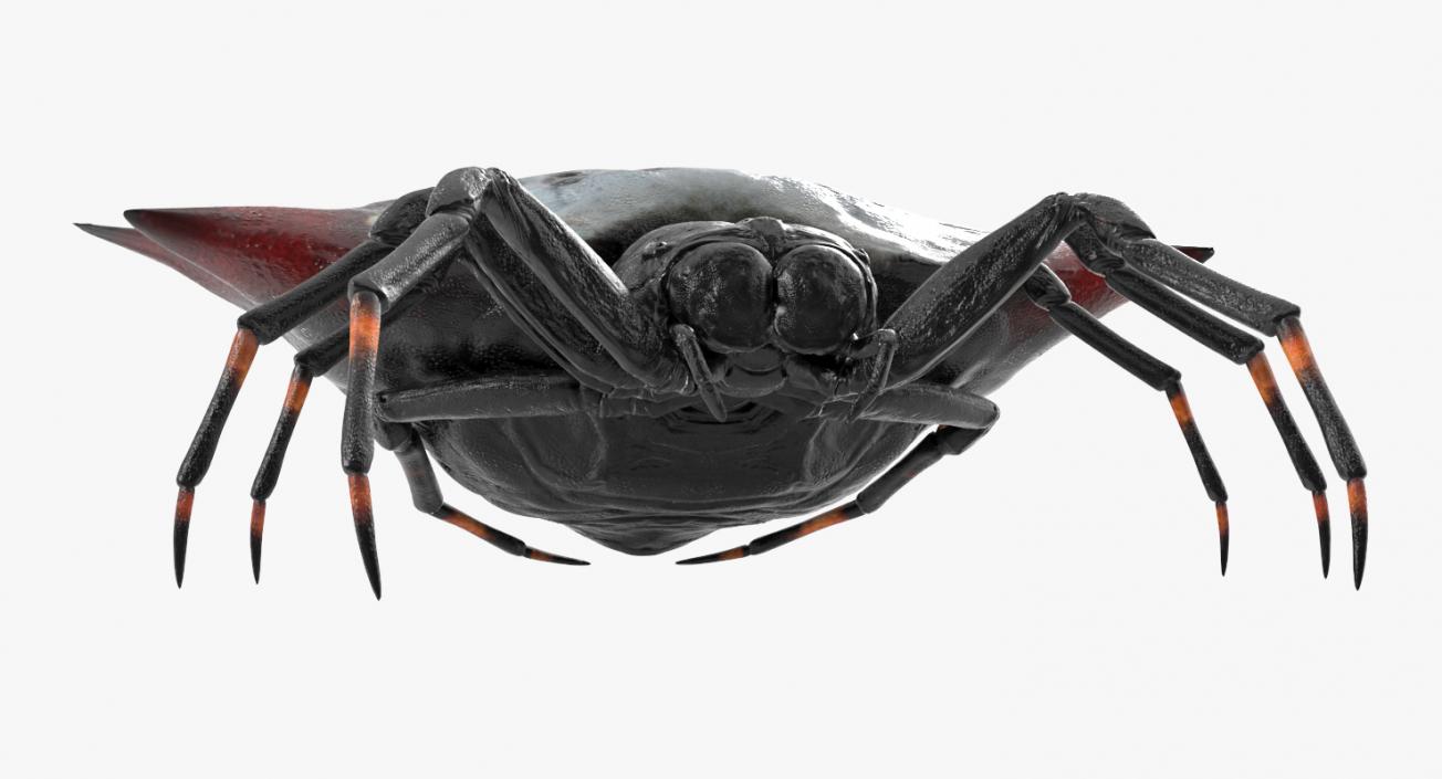 Creeping Insects Collection 6 3D model