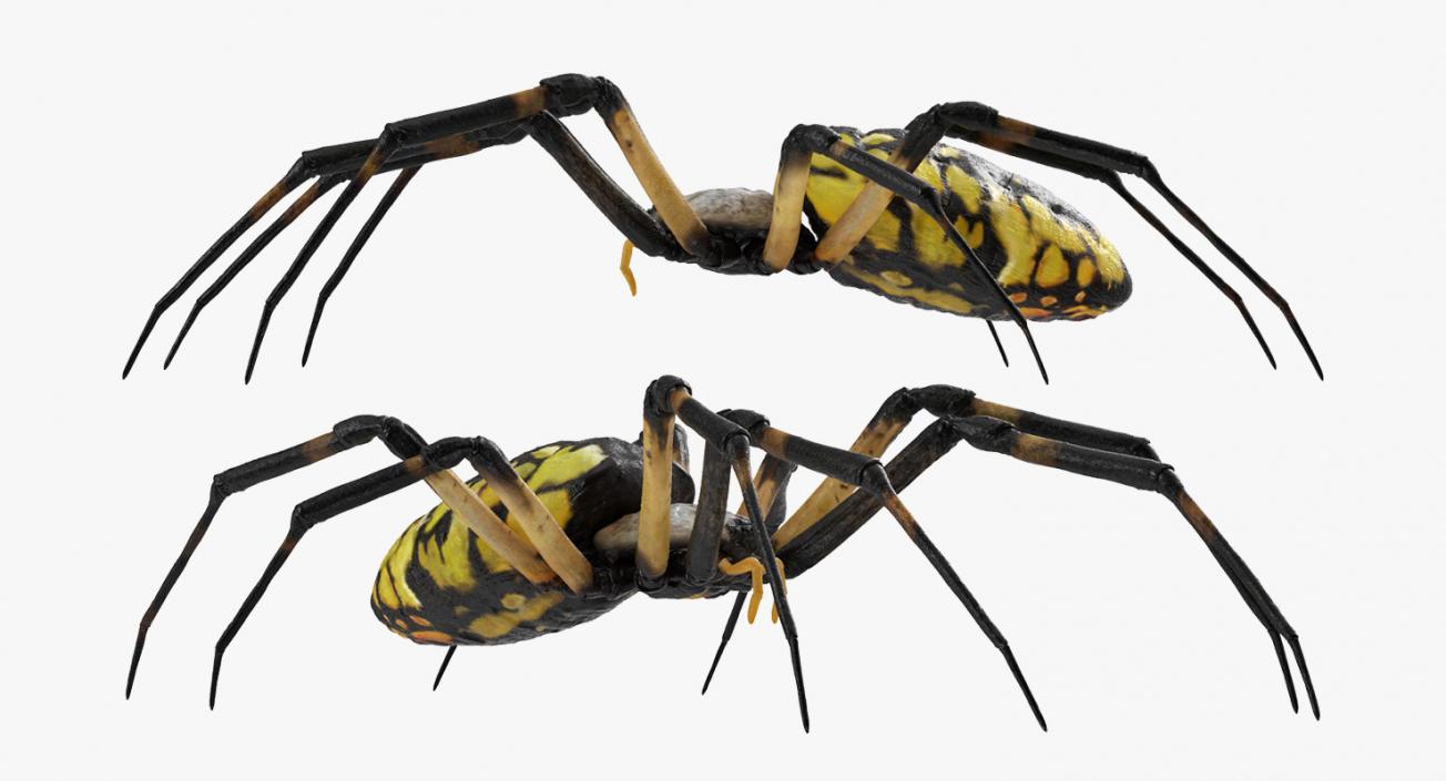 Creeping Insects Collection 6 3D model