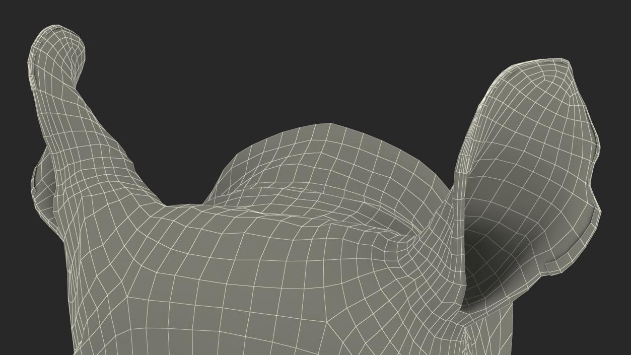 3D model Adult Rhino Head Fur