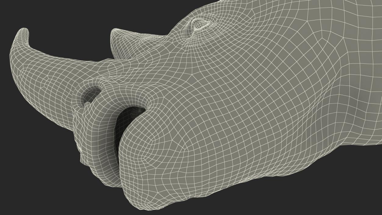 3D model Adult Rhino Head Fur