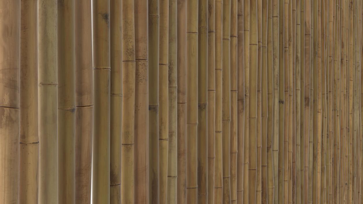 3D model Eco-Friendly Bamboo Fence