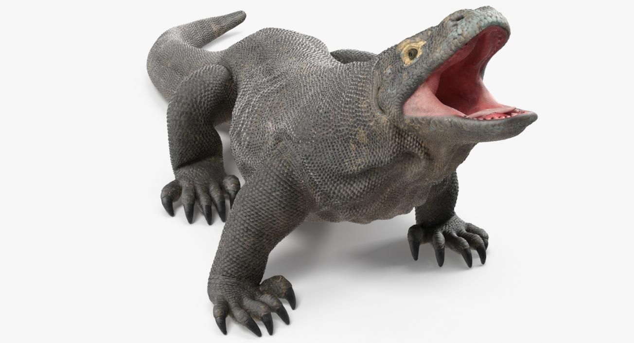 Komodo Dragon Standing Pose 3D