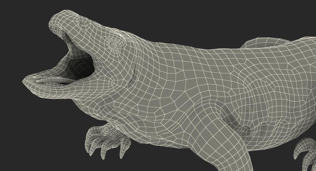 Komodo Dragon Standing Pose 3D