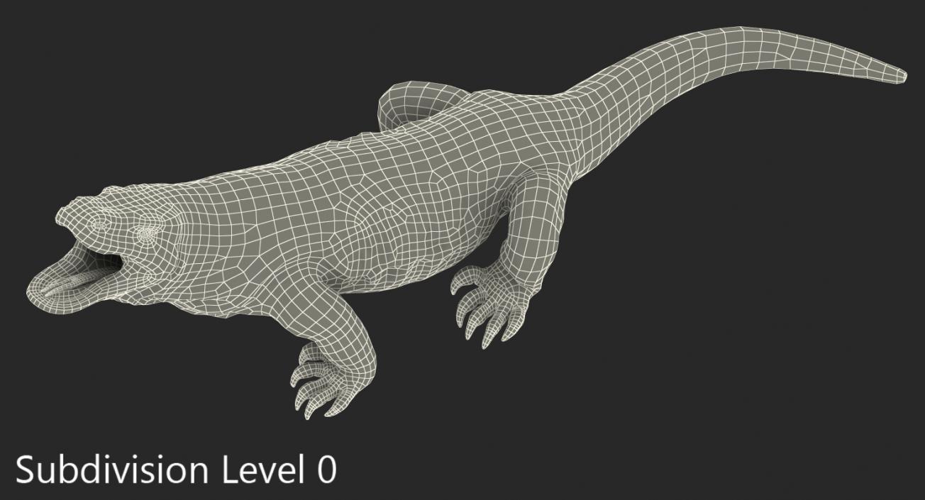 Komodo Dragon Standing Pose 3D