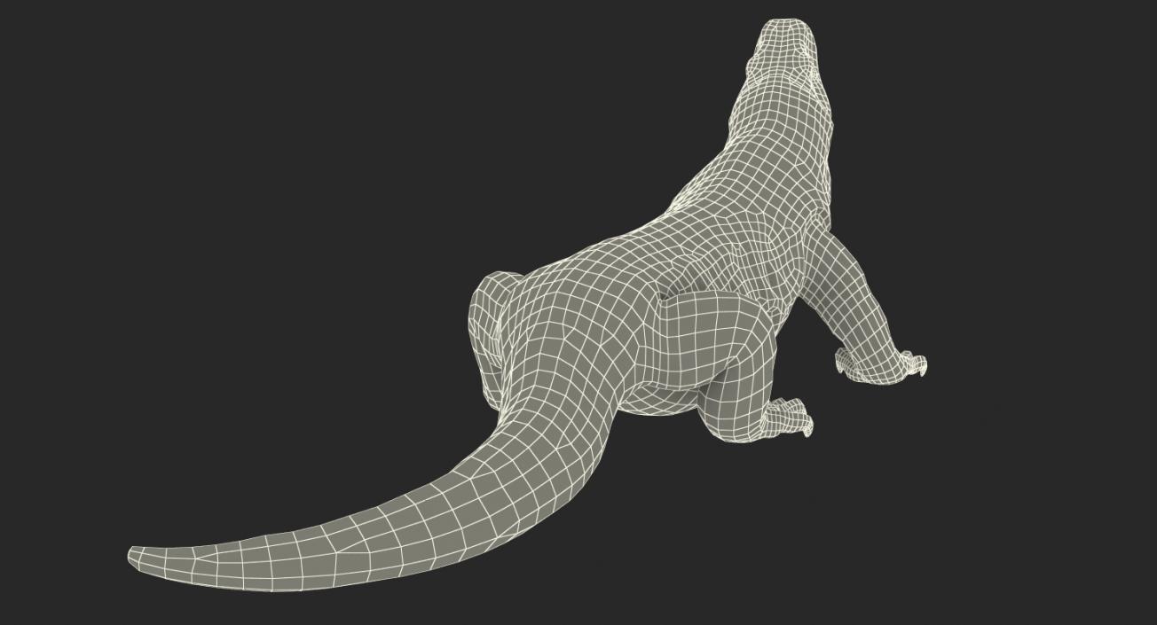 Komodo Dragon Standing Pose 3D