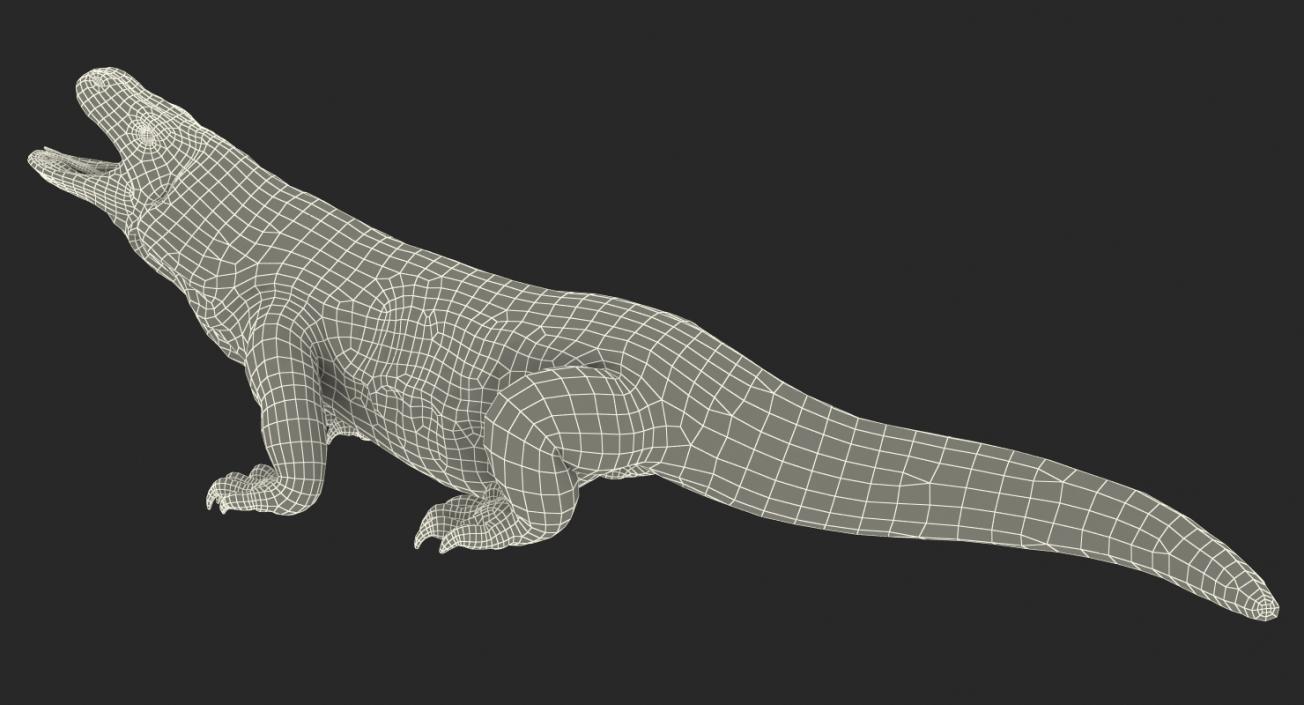 Komodo Dragon Standing Pose 3D