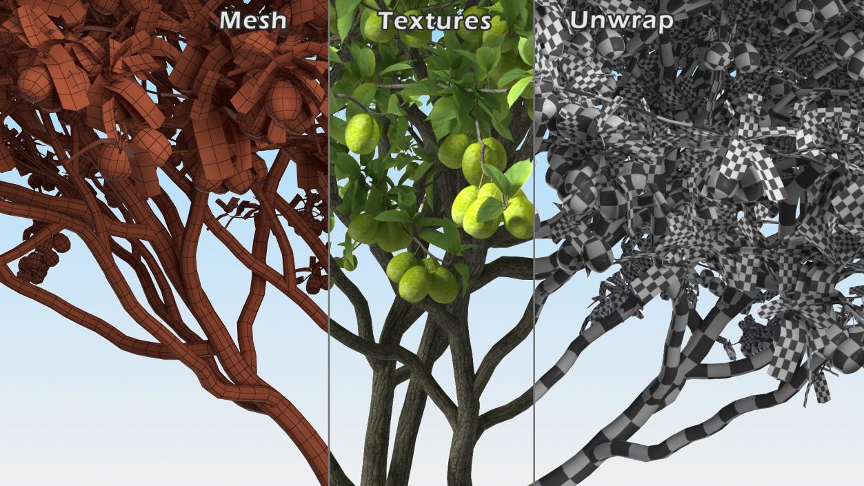 Fruit Trees Collection 2 3D model