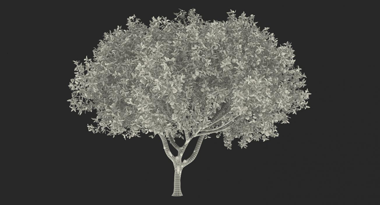 Fruit Trees Collection 2 3D model