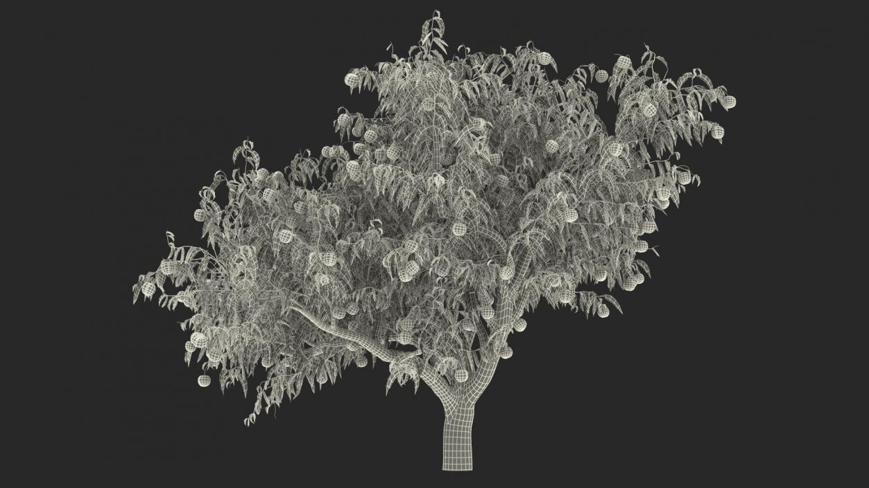 Fruit Trees Collection 2 3D model