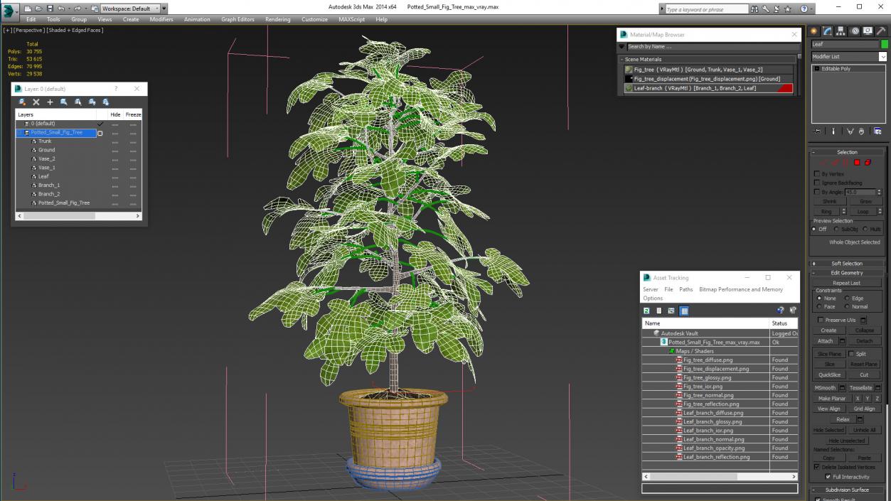 3D Potted Small Fig Tree