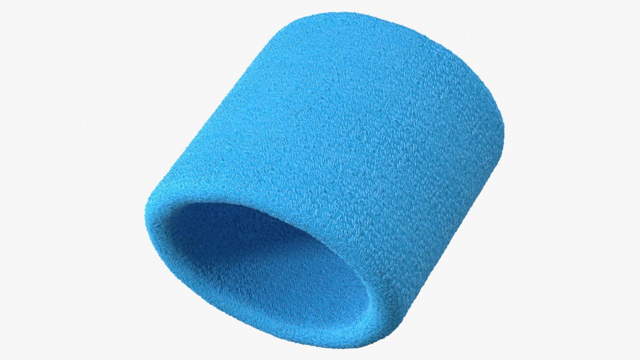 3D model Sport Wristband Blue