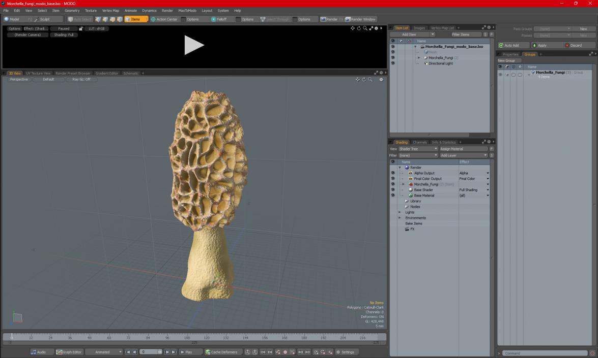 3D model Morchella Fungi