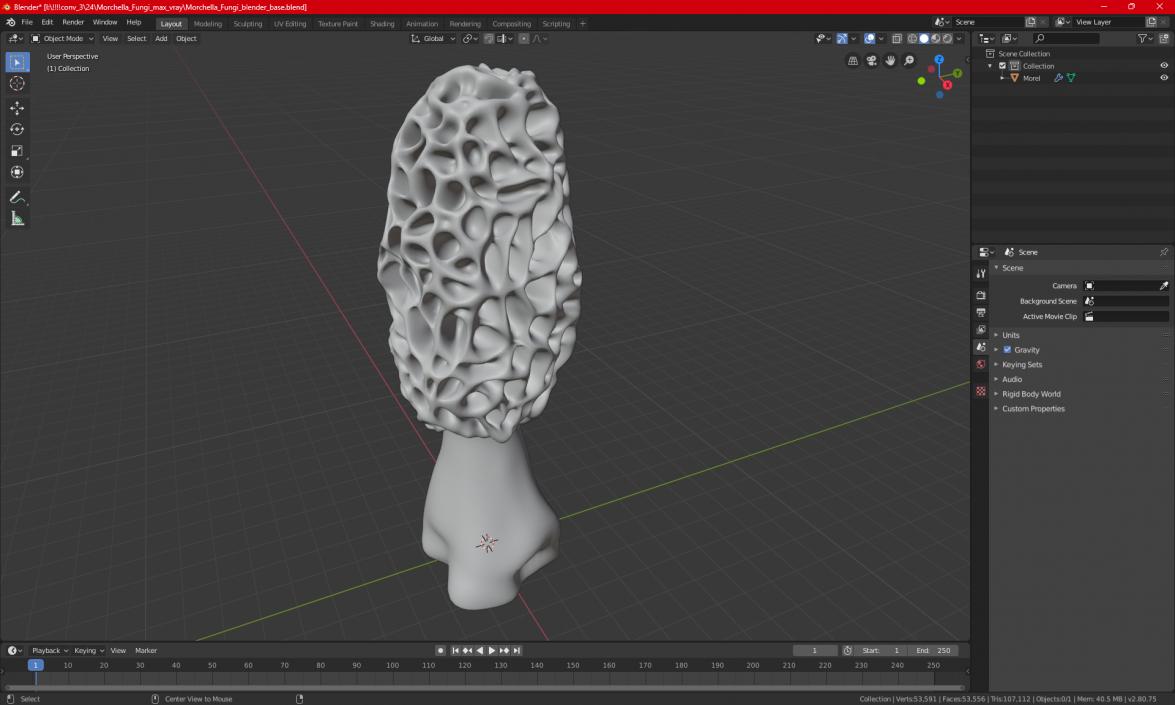 3D model Morchella Fungi