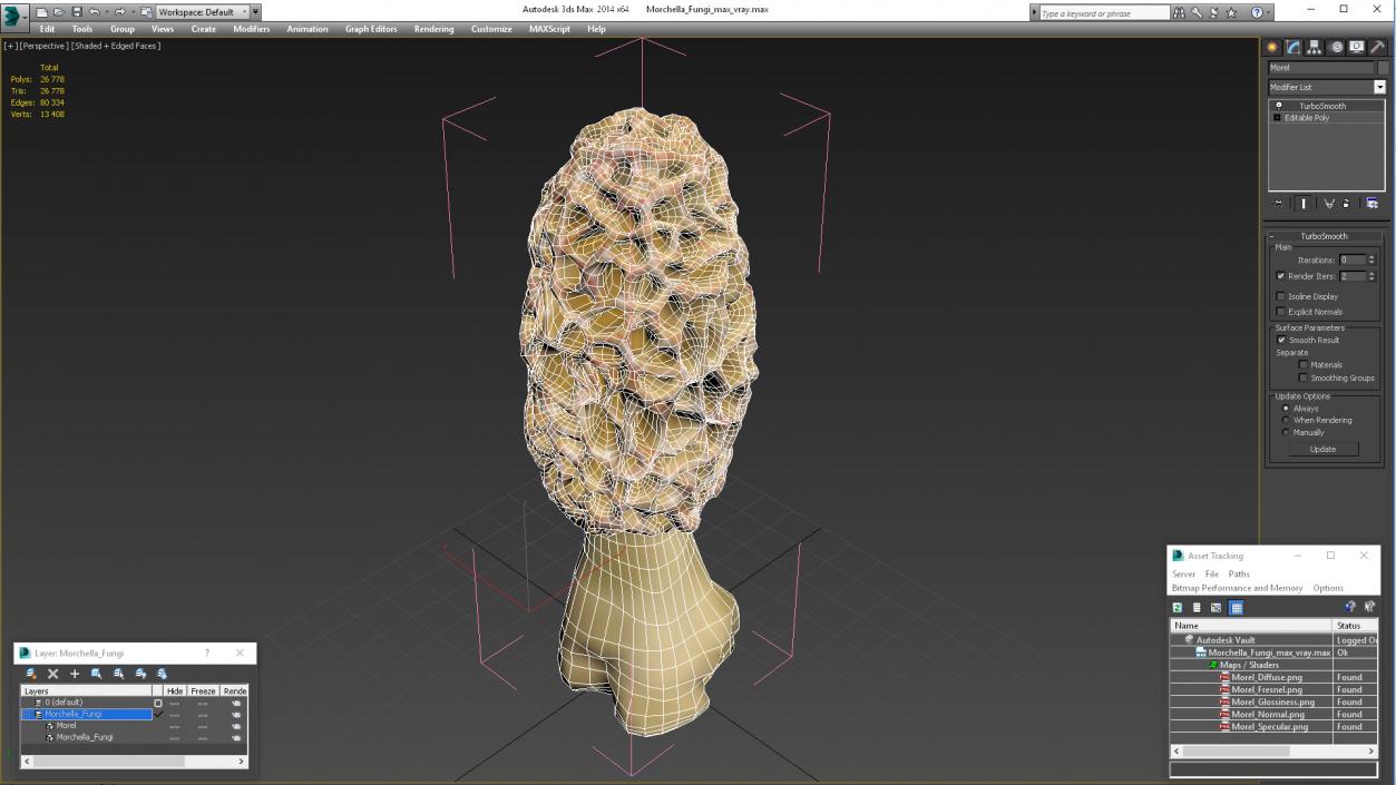 3D model Morchella Fungi