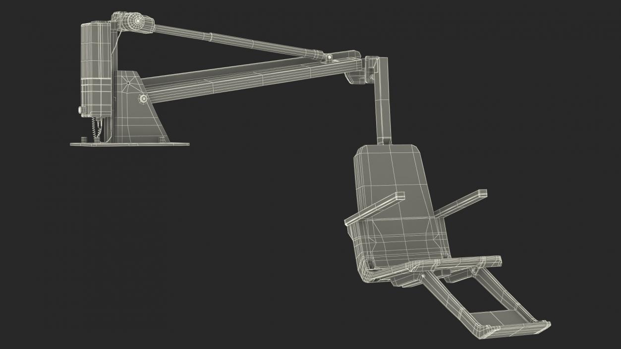 3D model Pool Lift Rigged for Maya