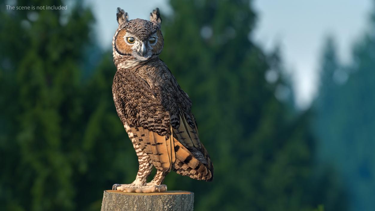 3D model Great Horned Owl Standing Pose