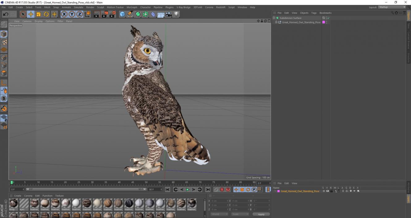 3D model Great Horned Owl Standing Pose